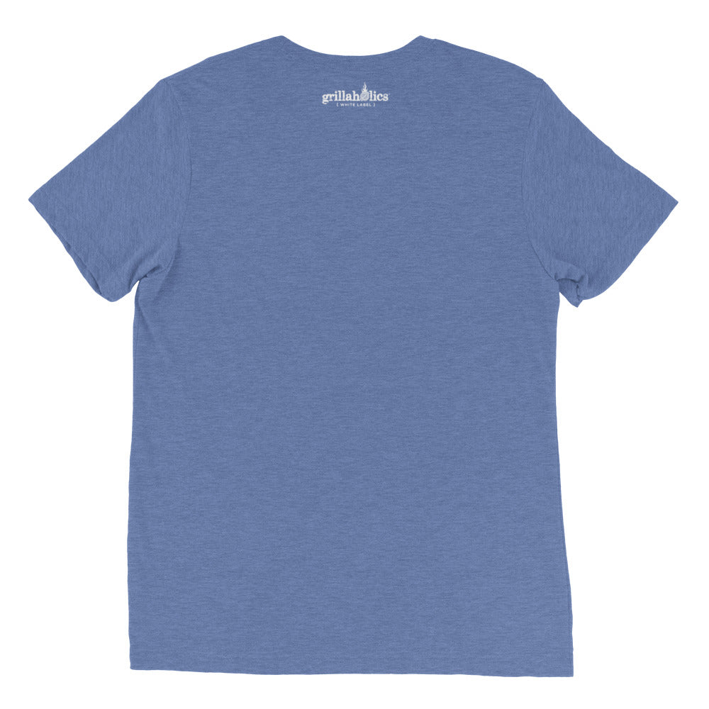 unisex-tri-blend-t-shirt-blue-triblend-back-62c48de5e00f3.jpg